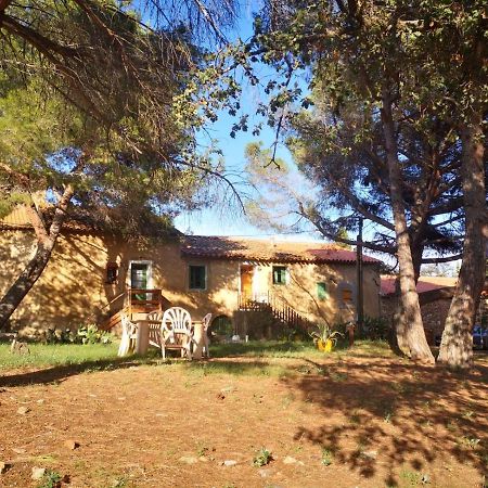 Maison Entiere Hameau Monastir Del Camp Passa Esterno foto