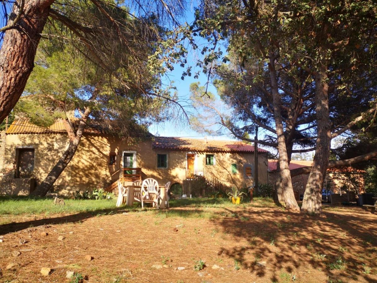 Maison Entiere Hameau Monastir Del Camp Passa Esterno foto